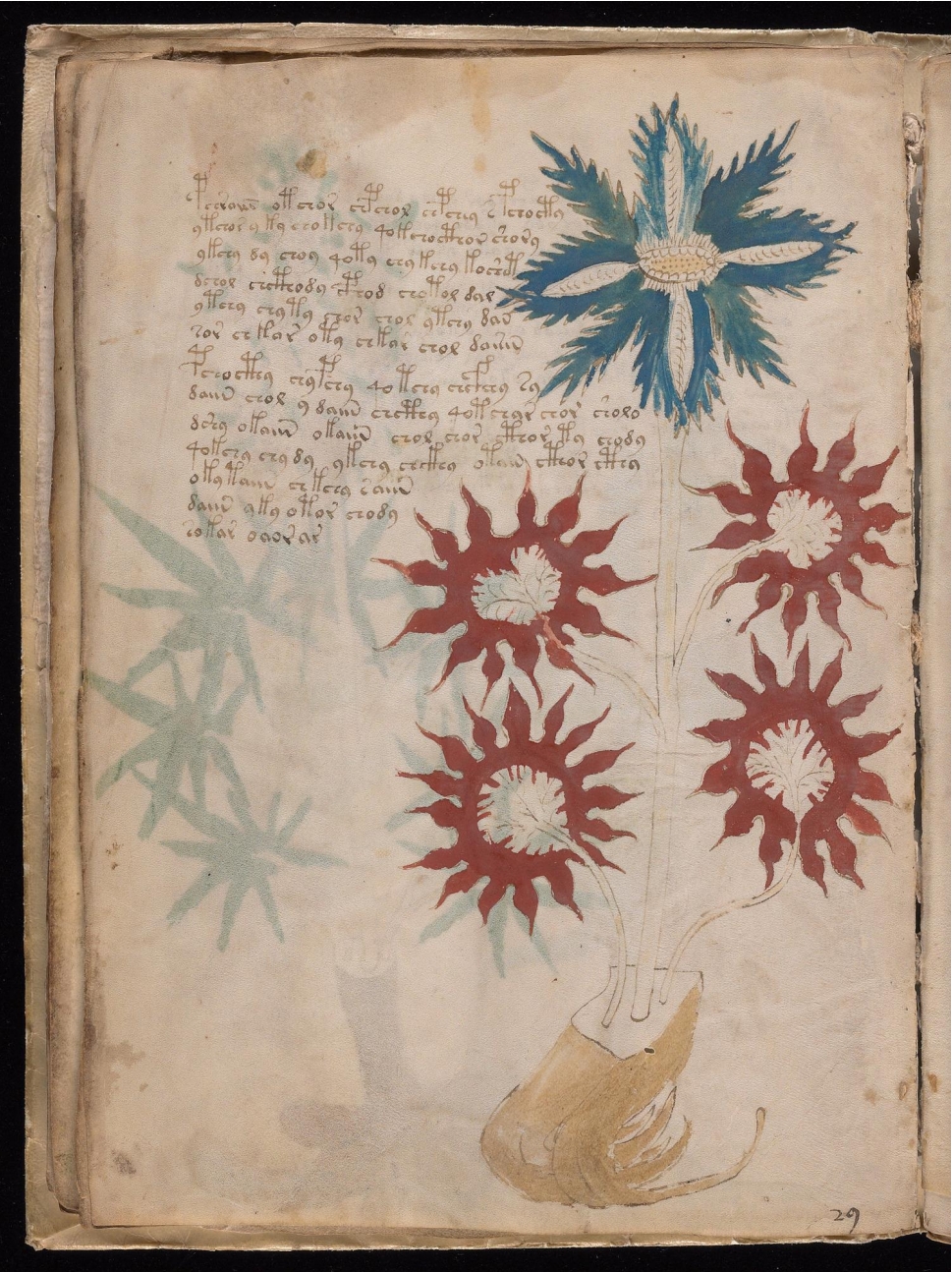 Original manuscript of Folio 16v